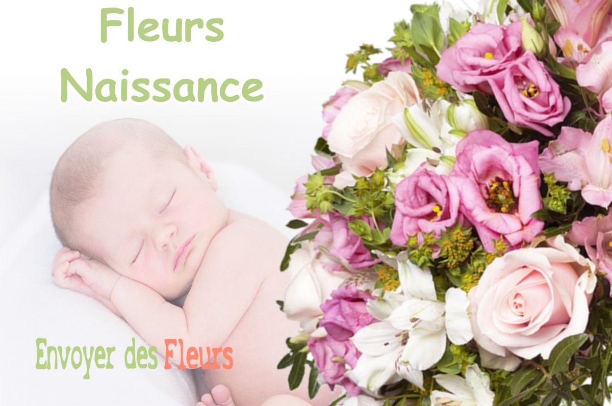 lIVRAISON FLEURS NAISSANCE à SIEVOZ